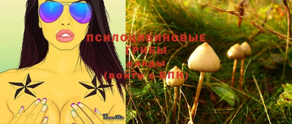 таблы Аркадак