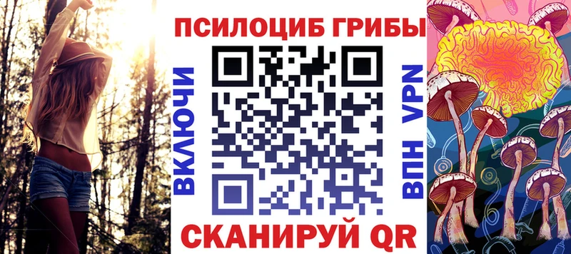 цены Приволжск Галлюциногенные грибы прущие грибы