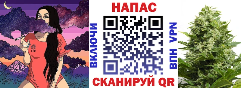 купить закладку  Приволжск  Бошки Шишки планчик 
